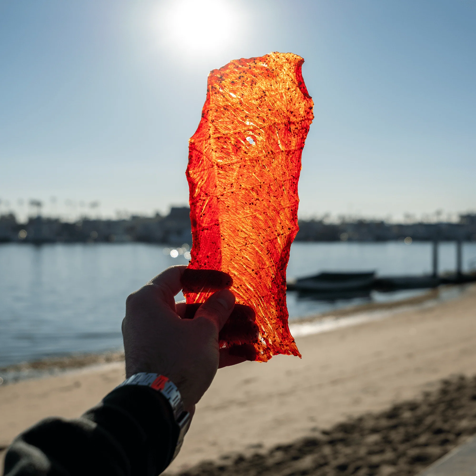 CLASSIC - HOT & SPICY BEEF JERKY - Image 4